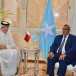 سفير-الصومال-لدى-مصر-يستقبل-نظيره-القطري-بالقاهرة-ويبحثان-سبل.jpg